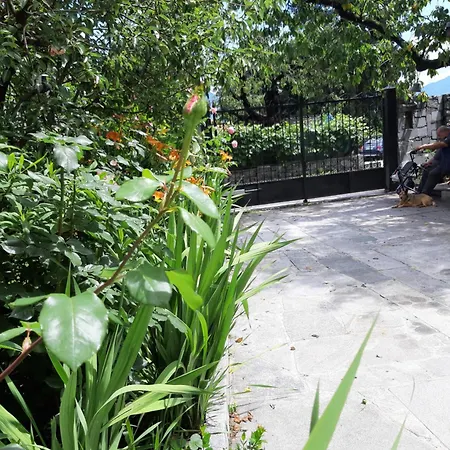 B&B Madonna Della Neve فندق مبيت وإفطار 3*